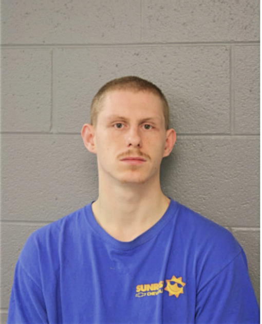 THOMAS J PERRY, Cook County, Illinois