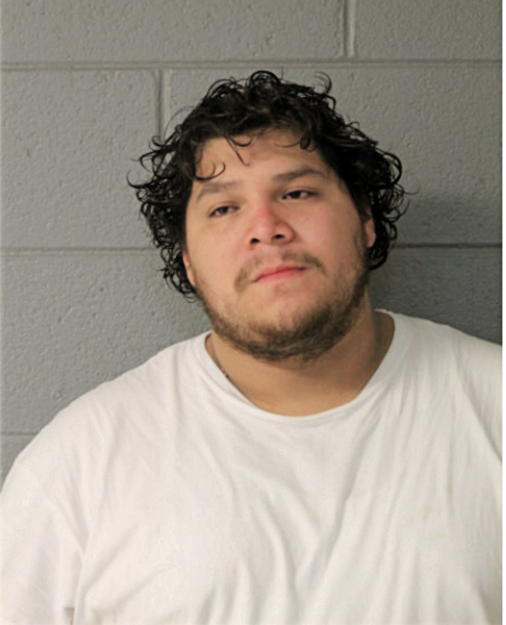 JAIME REYES, Cook County, Illinois