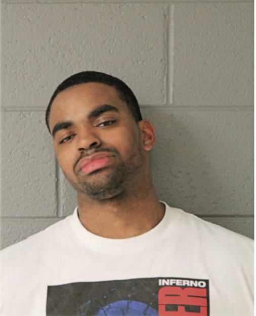 MICHAEL M STEVENS, Cook County, Illinois