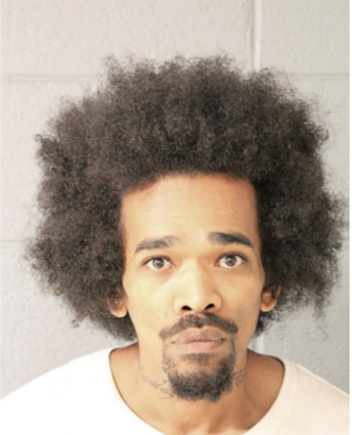 MICHAEL B YOUNG, Cook County, Illinois