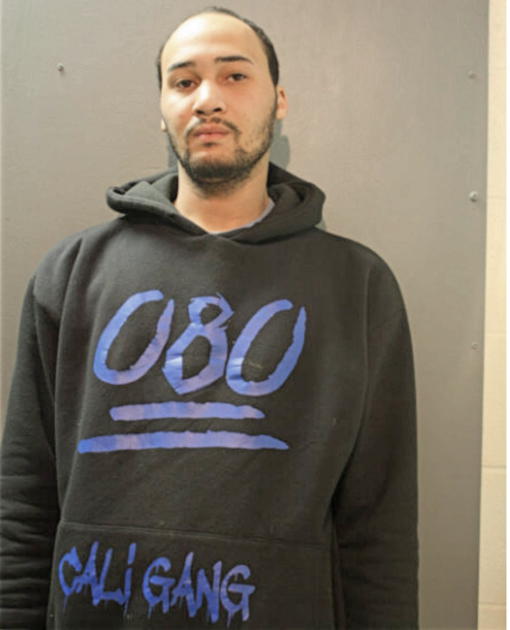 NIMOY D YOUNG, Cook County, Illinois