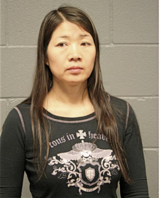 WEN PING YU, Cook County, Illinois