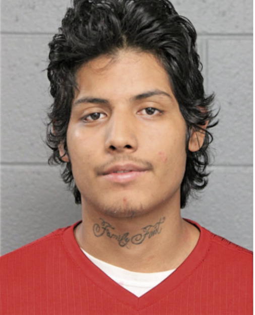 ARTURO L ALAVAREZ, Cook County, Illinois