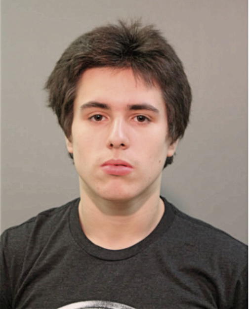 NATHANIEL ALVAREZ, Cook County, Illinois