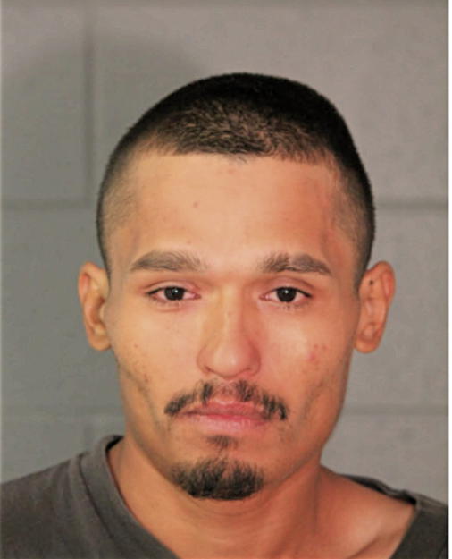 DAVID C CALVILLO, Cook County, Illinois