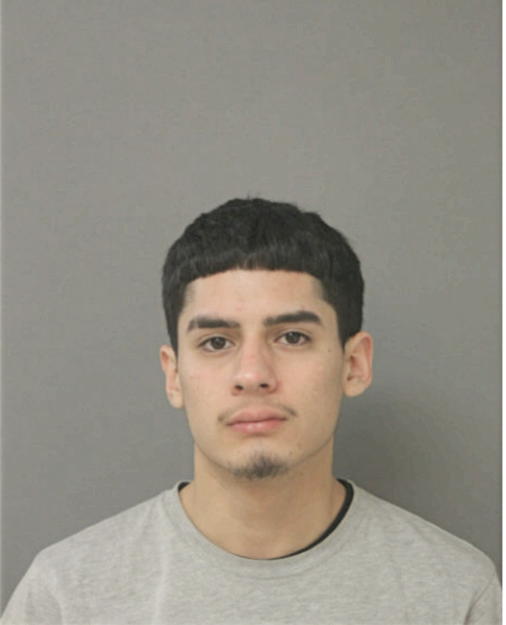 BERNARD C CARDENA, Cook County, Illinois
