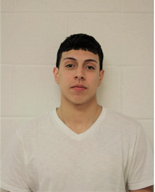 LUIS A CHAVEZ, Cook County, Illinois