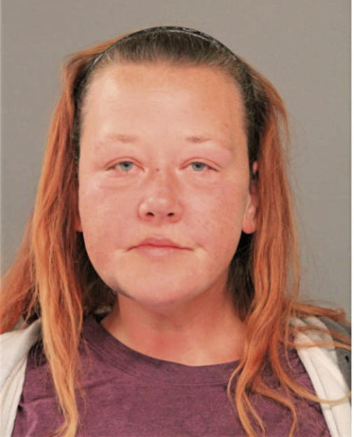 CHRISTA L CZOSMYK, Cook County, Illinois