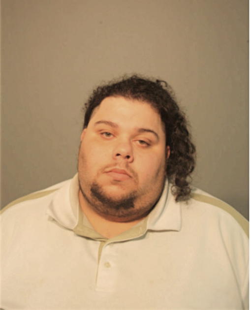 PAUL R DEOYOS, Cook County, Illinois