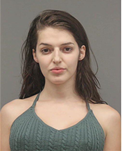 ALEASZANDRA A DRAGOMIR, Cook County, Illinois