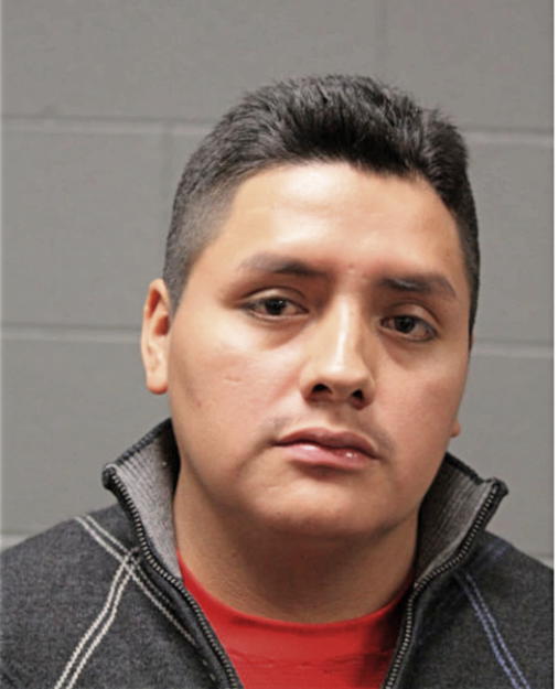 LUIS G FERNANDEZ, Cook County, Illinois