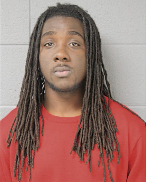 BRIAN A FULLER, Cook County, Illinois