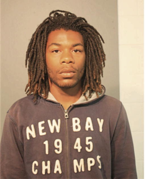 CHRISTOPHER S HAYNES, Cook County, Illinois