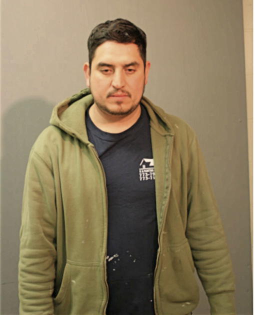 RICARDO LUNA, Cook County, Illinois