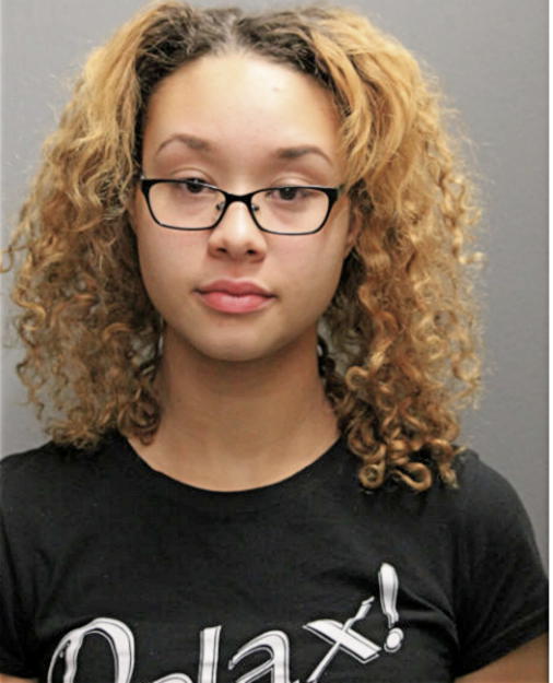 LANA J NOWAKOWSKI, Cook County, Illinois