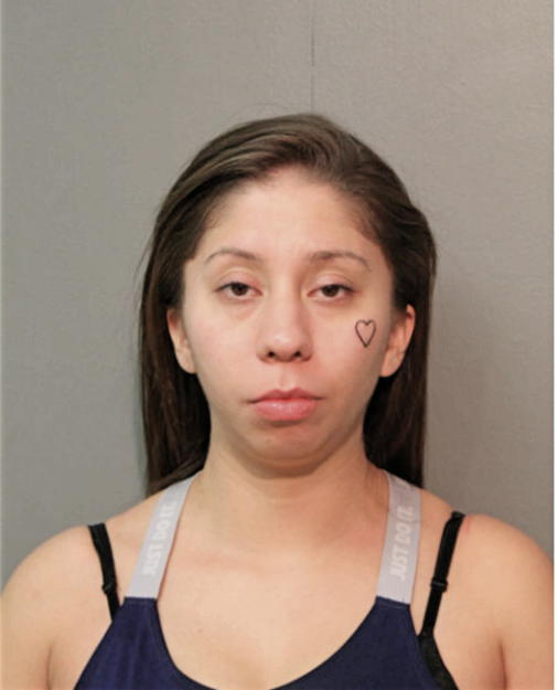 ELIZABETH A OBERLIN, Cook County, Illinois
