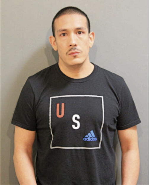 ROBERT P ORTIZ, Cook County, Illinois