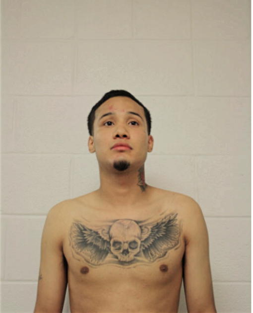 DAVID PEREZ, Cook County, Illinois