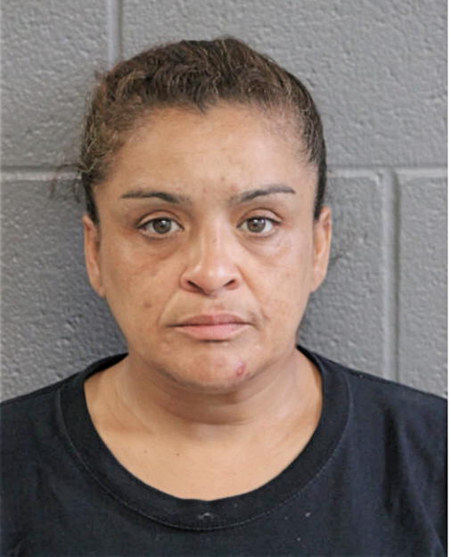 WANDA I RAMIREZ, Cook County, Illinois