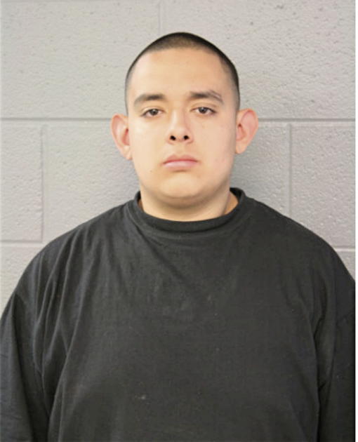 CESAR F RAMOS, Cook County, Illinois