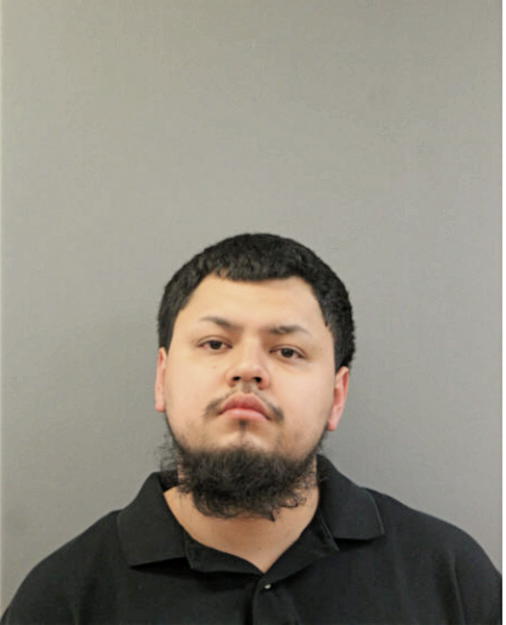SILVESTRE SANCHEZ, Cook County, Illinois