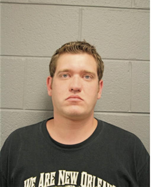 WILLIAM R SCALZITTI, Cook County, Illinois