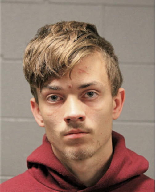 MARK M SCHULTZ, Cook County, Illinois