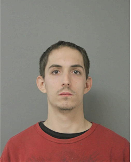 NICHOLAS J TORKELSON, Cook County, Illinois