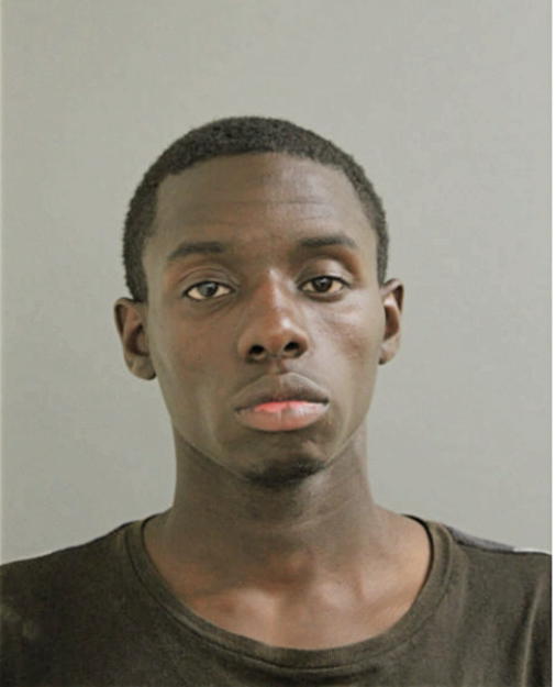LARRY D WILLIAMS, Cook County, Illinois