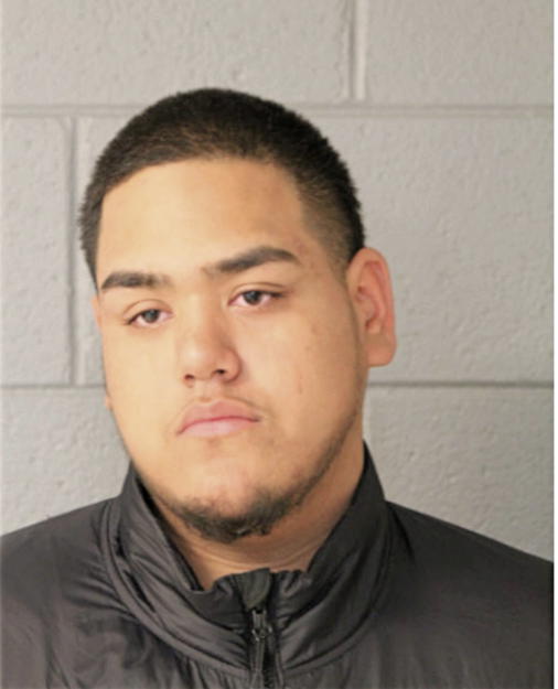 JOSE C ACEVEDO, Cook County, Illinois