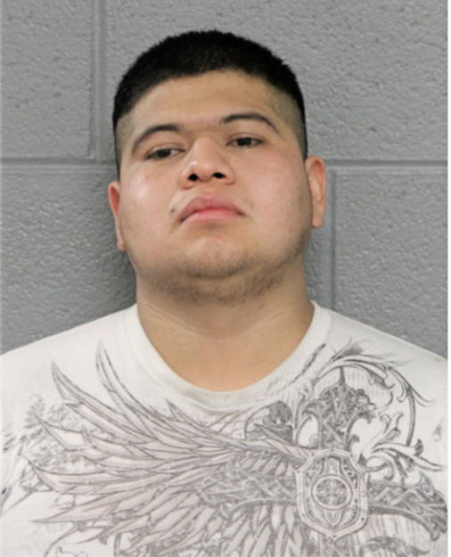 MARCOS AVILEZ, Cook County, Illinois