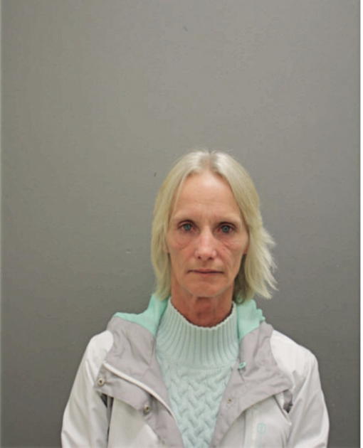 DAWN M BRIDGMON, Cook County, Illinois