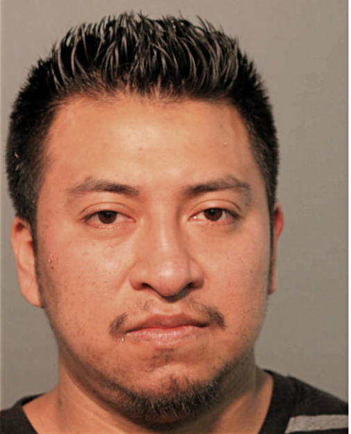 ANSELMO DELCARMEN, Cook County, Illinois