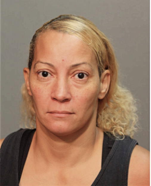 MARISOL DILAN, Cook County, Illinois