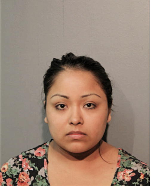 YESANTIA ESTRADA-SANTOS, Cook County, Illinois