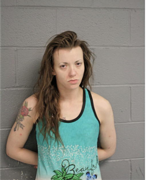 NICOLE M FLEISCHMANN, Cook County, Illinois