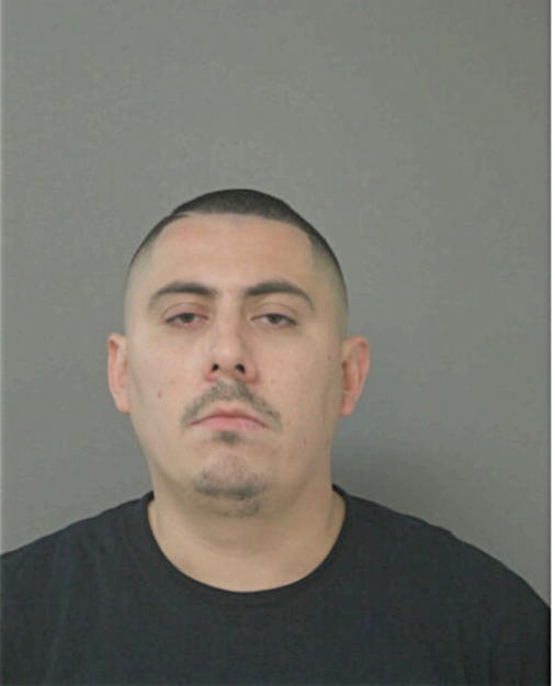 ANDREW F GAUNA, Cook County, Illinois