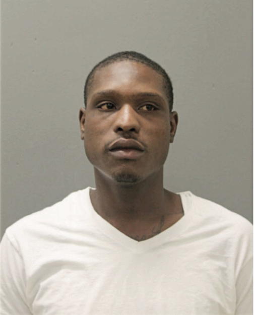 DARYLE J GOODMAN, Cook County, Illinois