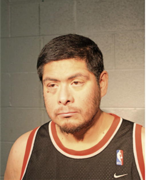 JAMES K GOSCINIAK, Cook County, Illinois