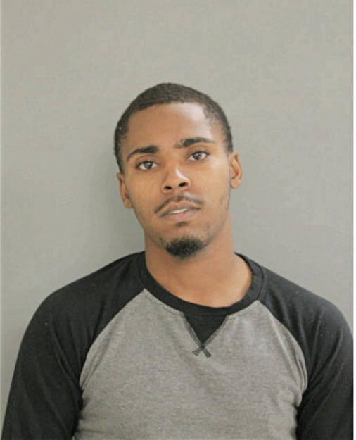 MICHAEL A HICKS, Cook County, Illinois