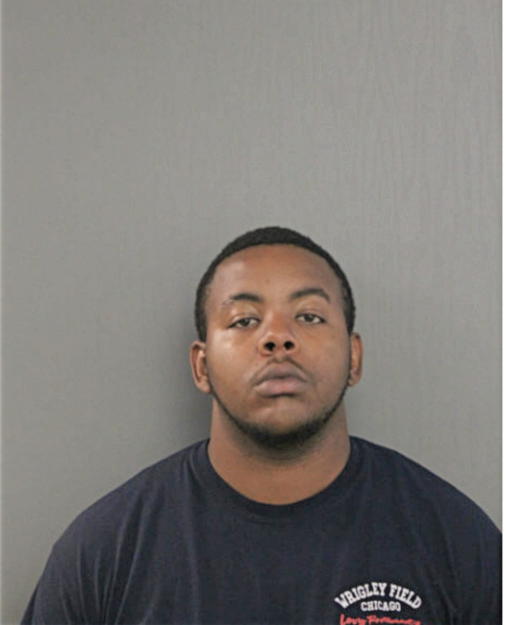 BRYAN J JOHNSON, Cook County, Illinois
