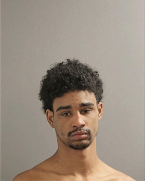 TYREE J JOHNSON, Cook County, Illinois