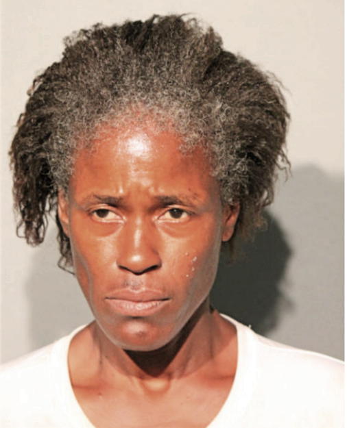 PATRICIA LANE, Cook County, Illinois