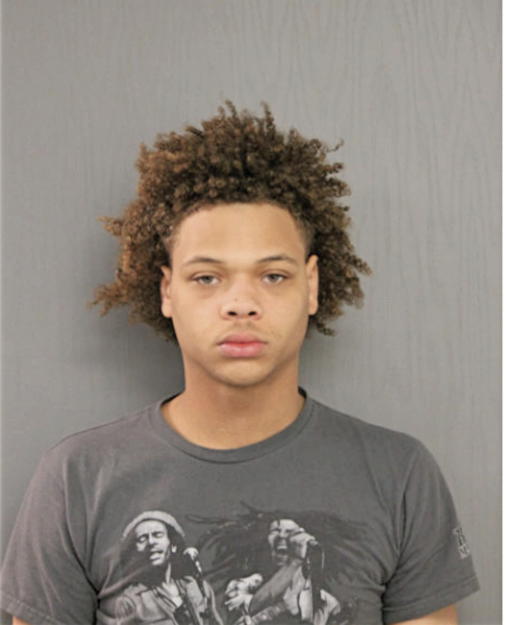 ANTHONY M RICE, Cook County, Illinois