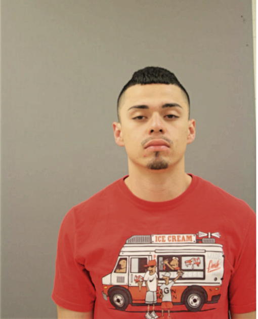 ALEX LUIS RIVERA, Cook County, Illinois