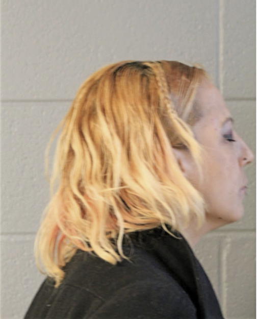 RENEE ROMAN, Cook County, Illinois