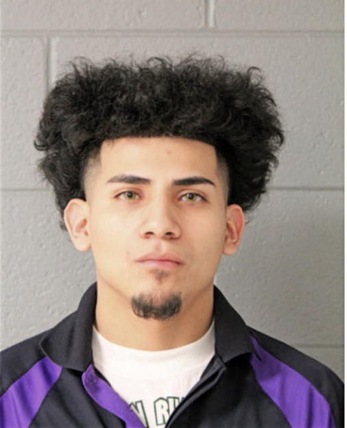 RICARDO ROMO-PEREZ, Cook County, Illinois
