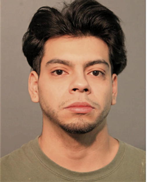 RICARDO R SAUCEDO, Cook County, Illinois