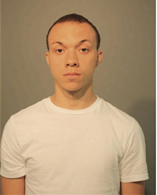 DEMARI D STRZELCZYK, Cook County, Illinois