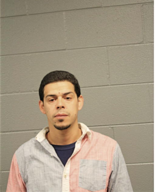 LAZARO G SUAREZ, Cook County, Illinois
